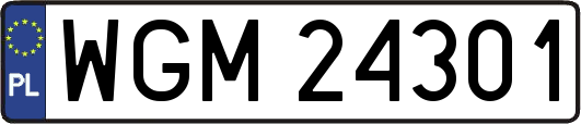 WGM24301