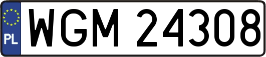 WGM24308