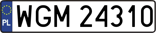 WGM24310