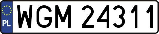 WGM24311