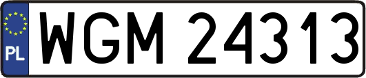 WGM24313