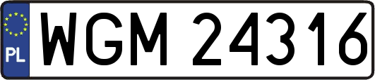 WGM24316