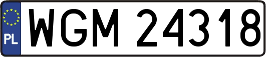 WGM24318