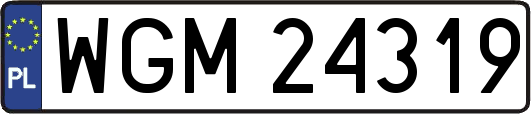 WGM24319
