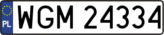WGM24334
