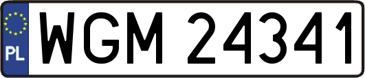 WGM24341