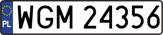 WGM24356