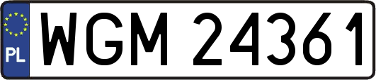 WGM24361