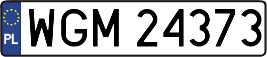 WGM24373