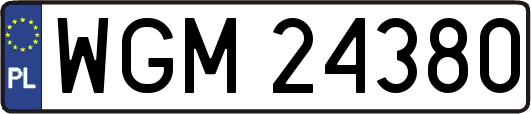 WGM24380