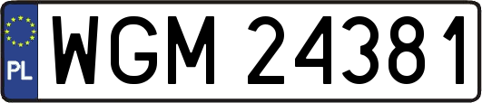 WGM24381