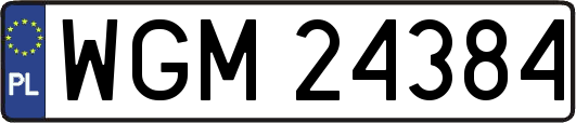 WGM24384