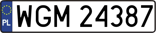 WGM24387