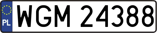 WGM24388