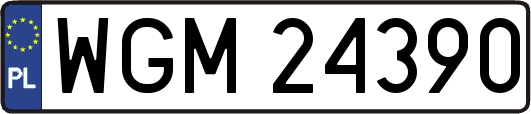 WGM24390
