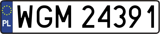 WGM24391