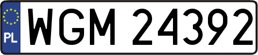 WGM24392