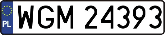 WGM24393