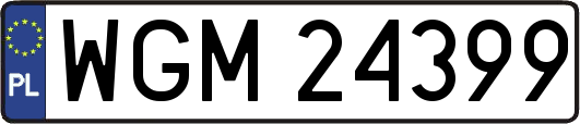 WGM24399