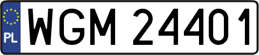 WGM24401