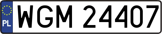 WGM24407