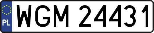 WGM24431
