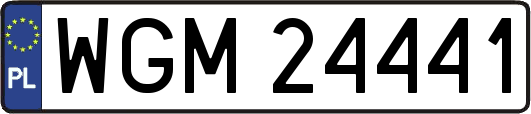 WGM24441