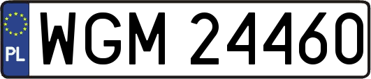 WGM24460