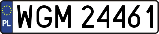 WGM24461
