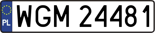 WGM24481