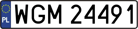 WGM24491