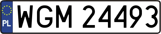 WGM24493
