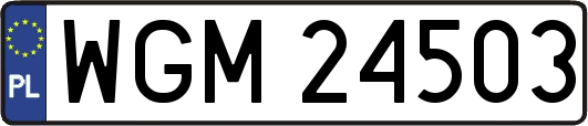 WGM24503