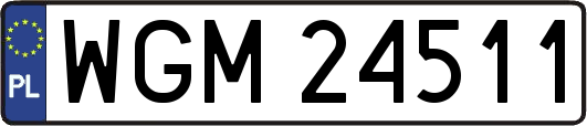 WGM24511