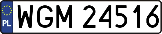 WGM24516