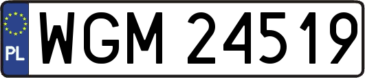 WGM24519