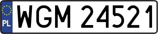 WGM24521