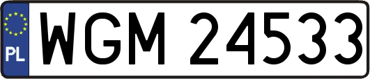 WGM24533
