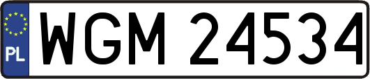 WGM24534