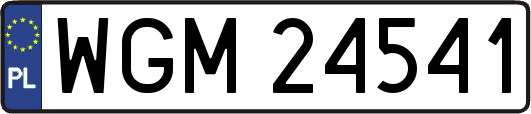 WGM24541