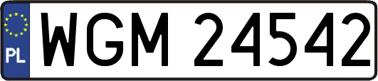 WGM24542