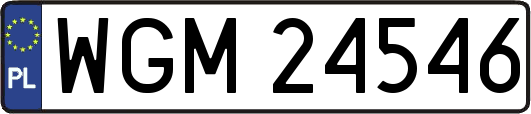 WGM24546