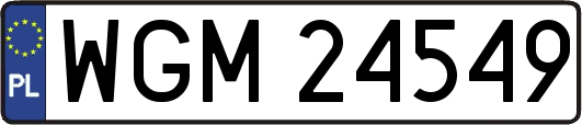 WGM24549