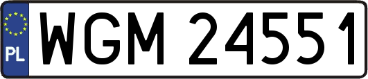 WGM24551