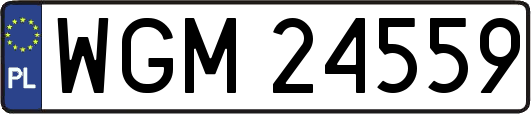 WGM24559