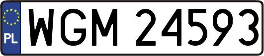 WGM24593