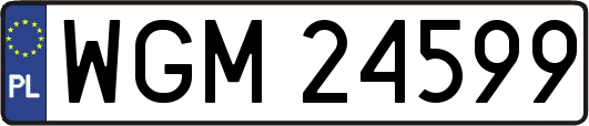 WGM24599