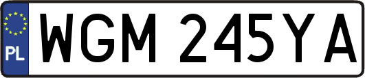 WGM245YA