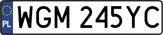 WGM245YC