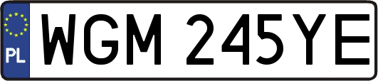 WGM245YE